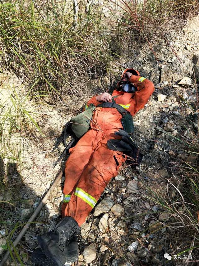 lol最新客户端下载-社区盾倒计时，菲尼克斯太阳集结日队长鼓劲，细节引发关注，态度坚定，心理建设被强调