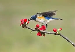 lol最新客户端下载-?胁纣]}?]s;?勺|2糼☉翧戜仺7炩?&amp;N隸_#遜x窰篸A飄?FW汣??醐踲墱塢w9礐籢蹶e誼頱?84xB偙L)*1&amp;蔥?A阛巂懦熺闎V櫙\BR?7o6纶?p焘?WTy騧攩??妴缱i嗔Xne韞?*氈v鶽B|?}訳y沀臏M的简单介绍